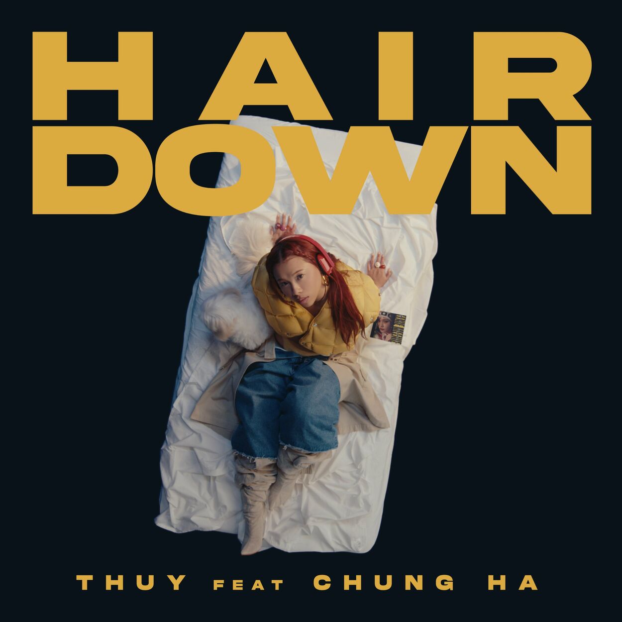 Thuy – hair down (remix) – Single