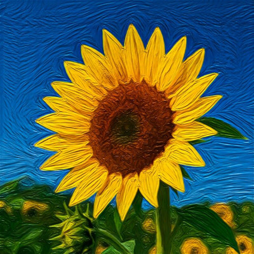 ONiLL – Sunflower – Single
