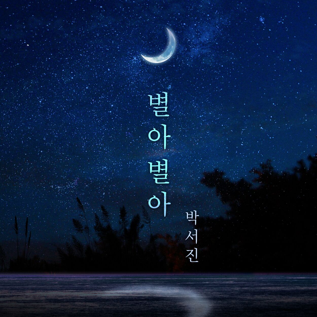 Park Seo Jin – ‘It Turned out to be a Coma’ Music Festival Winner’s Benefit Song – Single