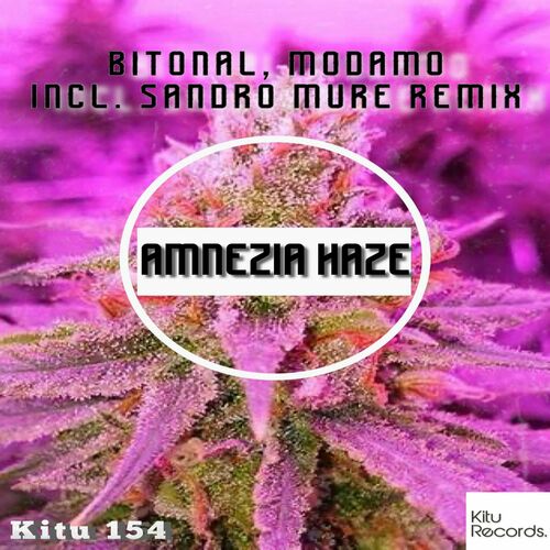  Bitonal - Amnezia Haze (Sandro Mure Remix) (2024) 