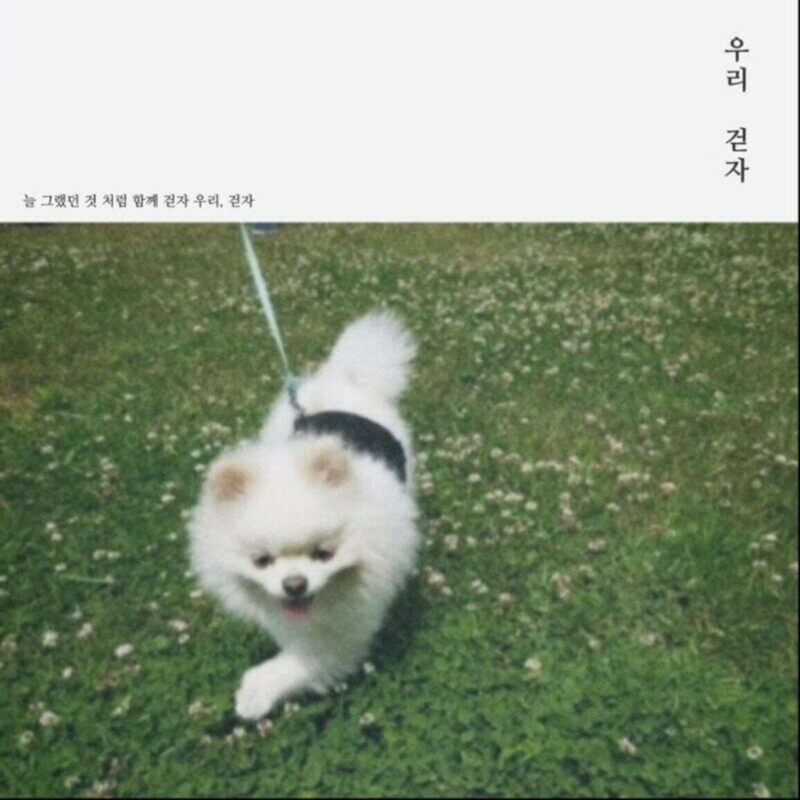 Myun Ji – To walk – Single