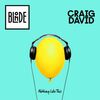 BLONDE & DAVID Craig - Nothing Like This