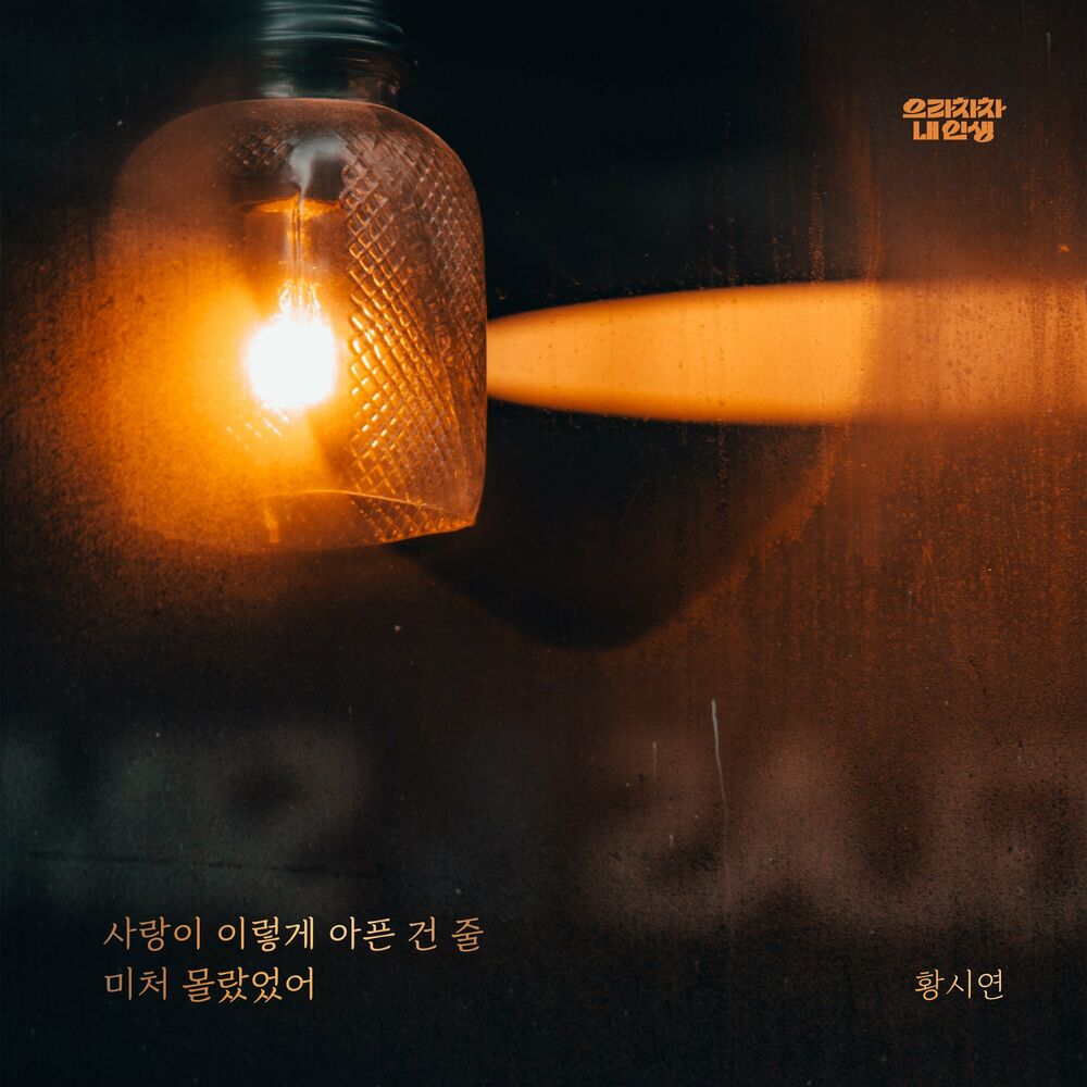Hwang Si Yeon – Bravo, My Life OST, Pt. 35