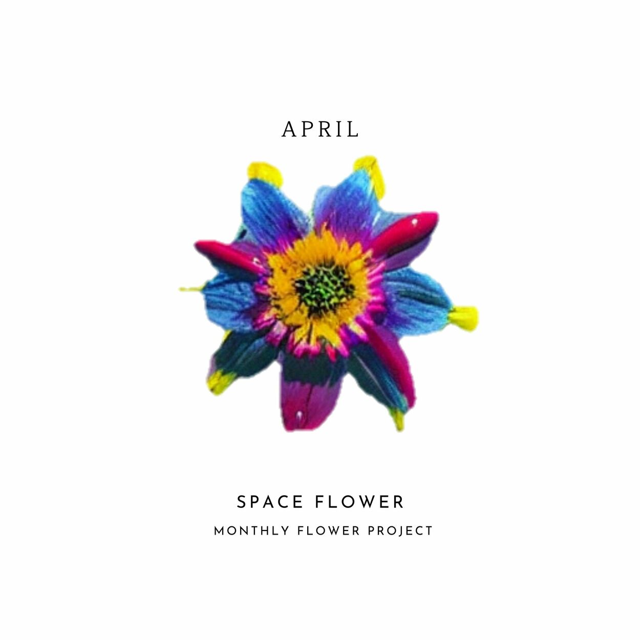 PERC%NT – Space Flower – Single