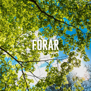 Massive Attack Teardrop Listen With Lyrics Deezer massive attack teardrop listen with