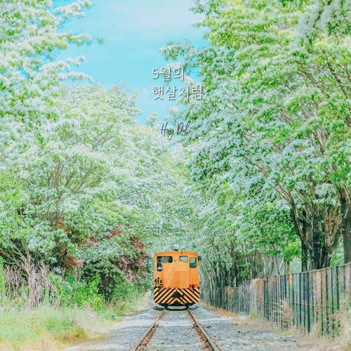 Hey Dali – Like the Sunshine in May (Feat. AINE) – Single