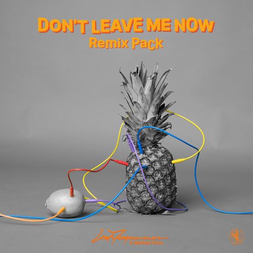Don't Leave Me Now (Remix Pack) - Lost Frequencies