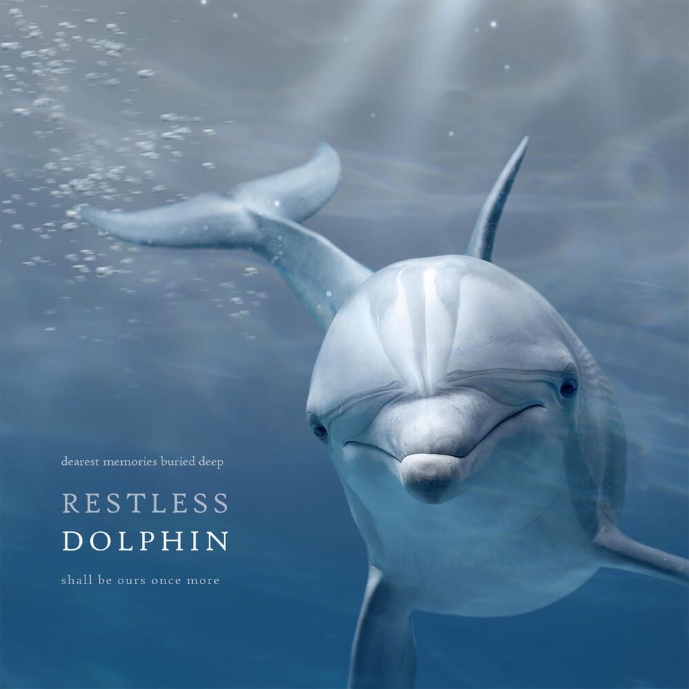 Lim Jueun – Restless Dolphin – Single