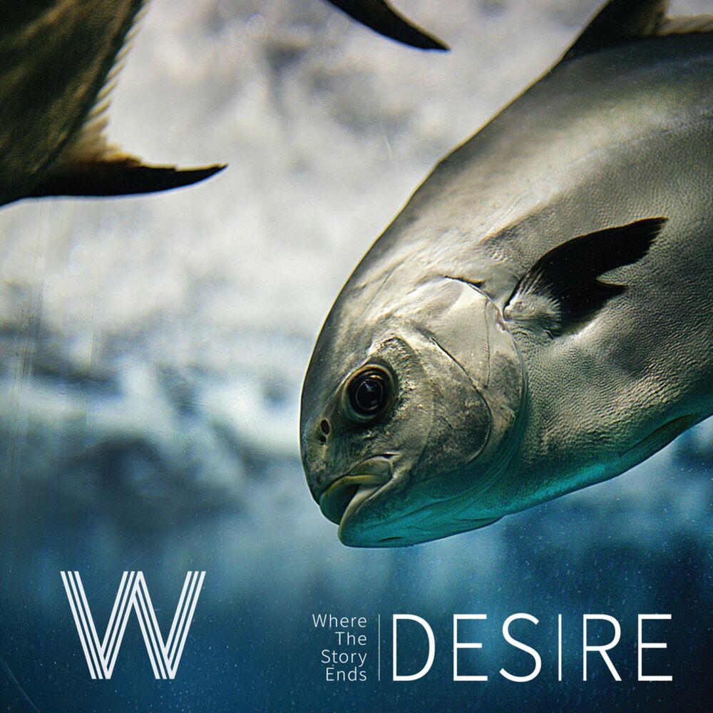 W (Where The Story Ends) – Desire