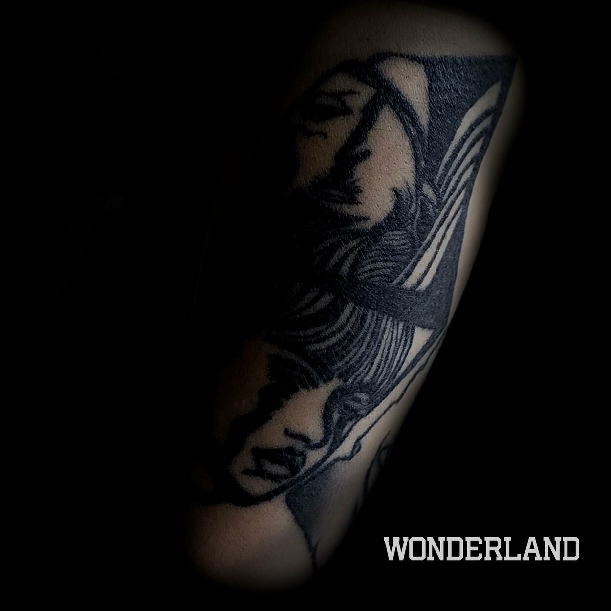 Scoll – Wonderland – EP