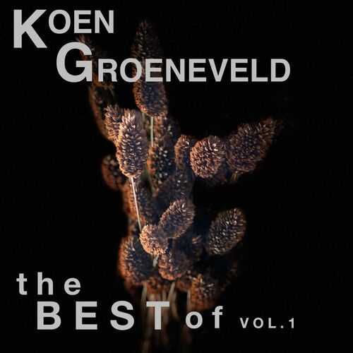 The Best Of, Vol.1 - Koen Groeneveld
