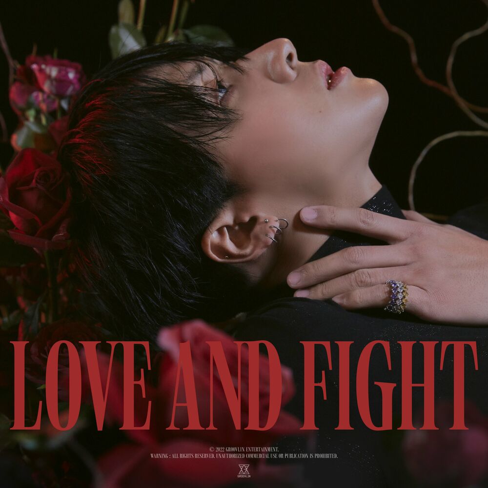Ravi – LOVE & FIGHT