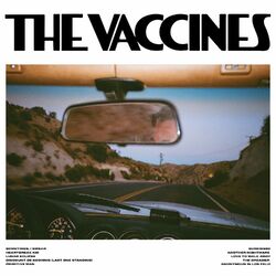 The Vaccines – Pick-Up Full Of Pink Carnations 2024 CD Completo