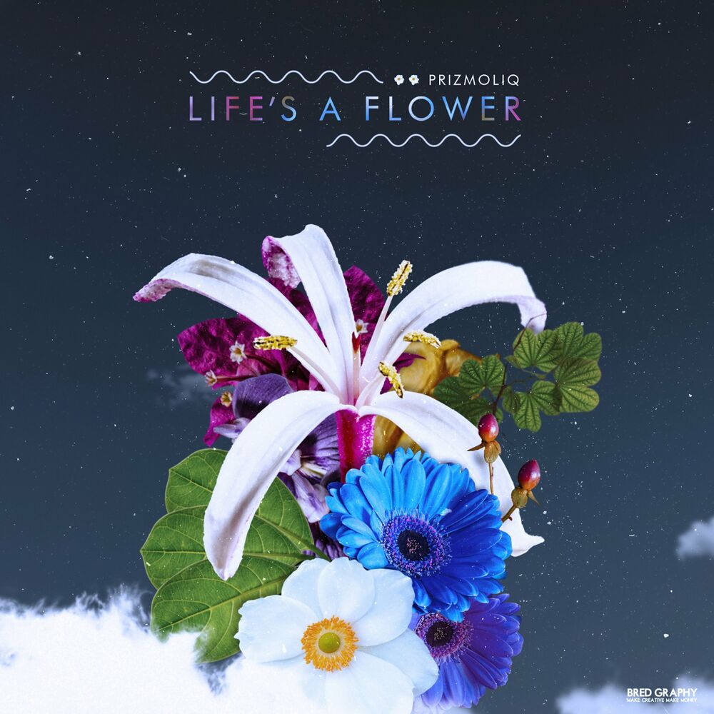 PRIZMOLIQ – Life’s A Flower