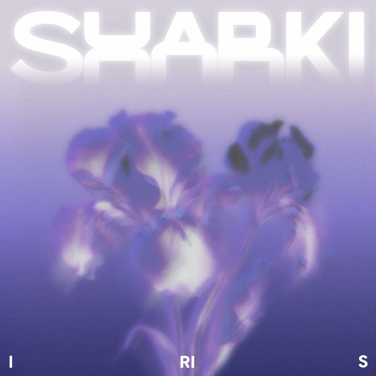 Sharki – Iris – Single