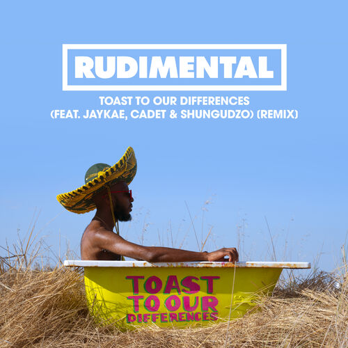 Toast to Our Differences (feat. Jaykae, Cadet & Shungudzo) (Remix) - Rudimental