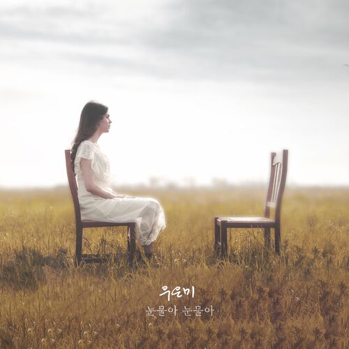 Woo eun mi – 눈물아 눈물아 – Single