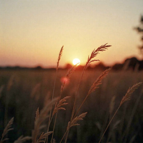 Tone – If your memory shakes me – Single