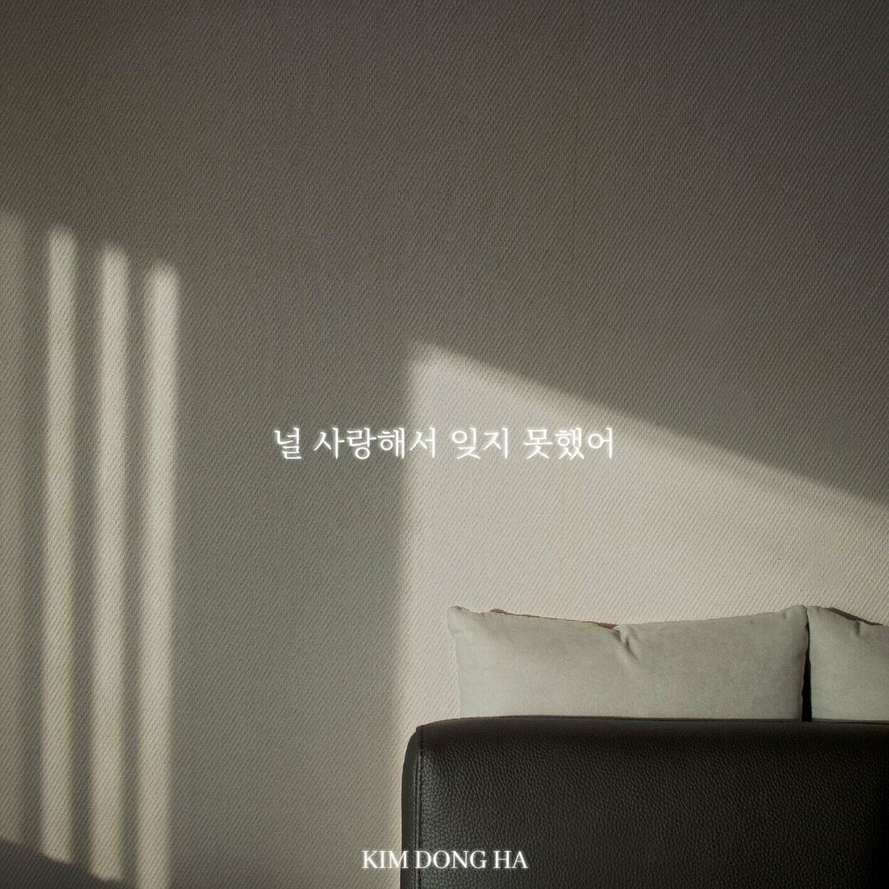 Kim Dong Ha – I couldn’t forget you because I loved you – Single