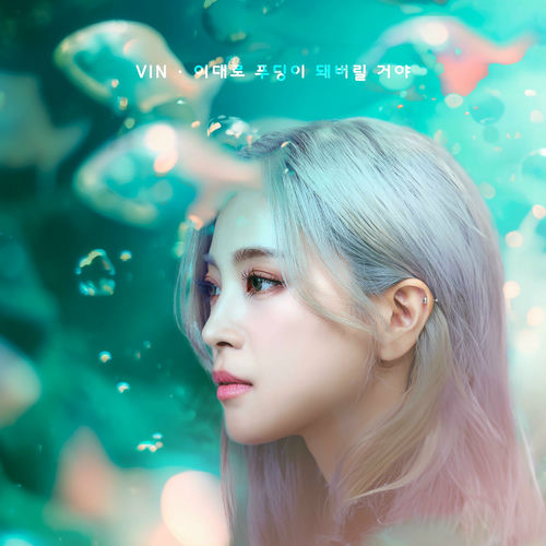 VIN – I’ll become pudding – Single