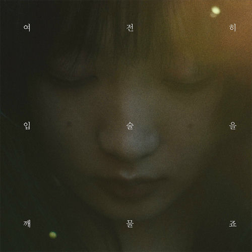 Heize – Swallowing Tears – Single