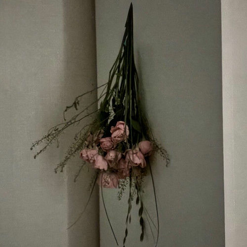 Seoung Jia – Dry flower – Single