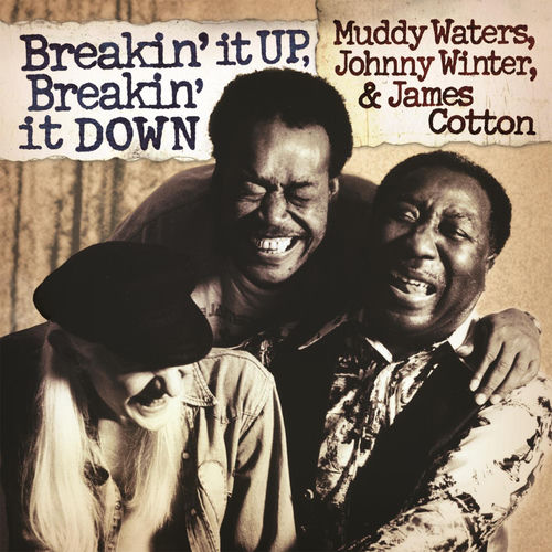 Muddy Waters Trouble No More Live Listen With Lyrics Deezer deezer