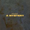 STIFF LAUREN - A Mystery