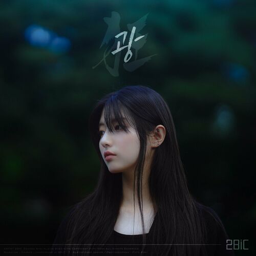 2Bic – Insane – Single