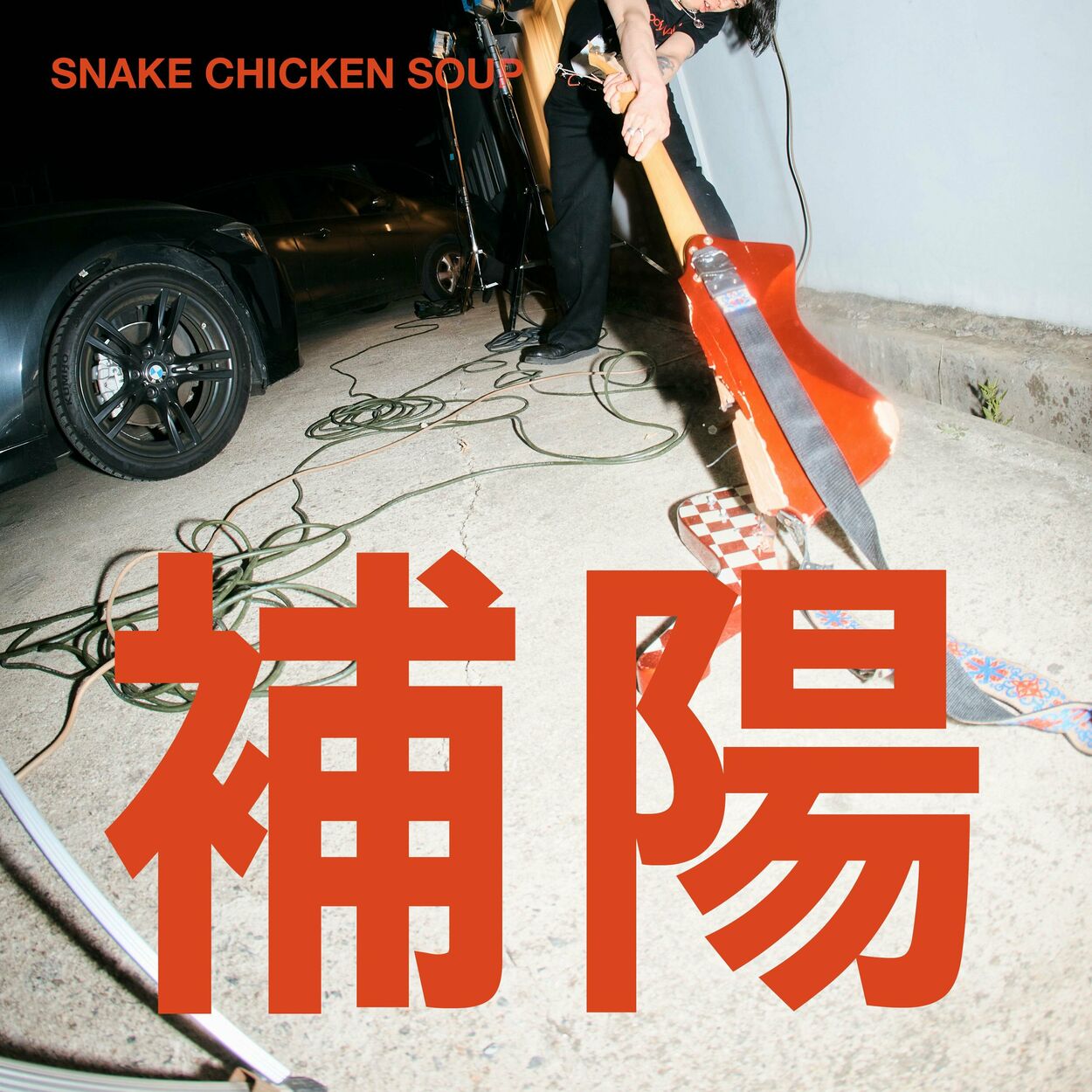 Snake Chicken Soup – 補陽 – EP