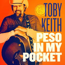 Toby Keith – Peso in My Pocket 2021 CD Completo