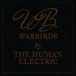 electric warbirds