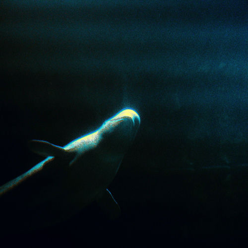 CHARLIE BEAN WORKS – Love And Equability – Single