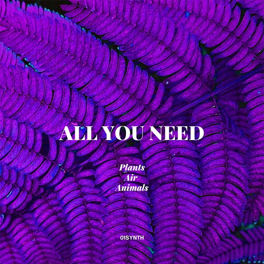 01SYNTH – All You Need – Single