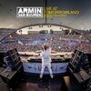 ALESSO/ARMIN VAN BUUREN - Leave A Little Love (Record Mix)