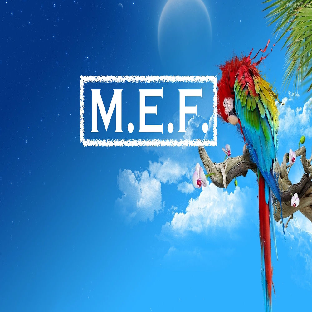 Ed Sheeran - Photograph (M.E.F. Rework)