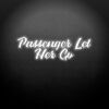 PASSENGER 10 - Let Her Go