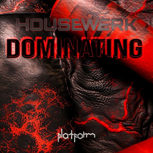  HouseWerk - Dominating (Shuffle Mix) (2024) 