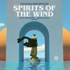 Several Definitions - Spirits Of The Wind (Larsun Hesh Rmx)