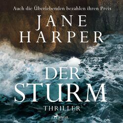 Der Sturm Audiobook