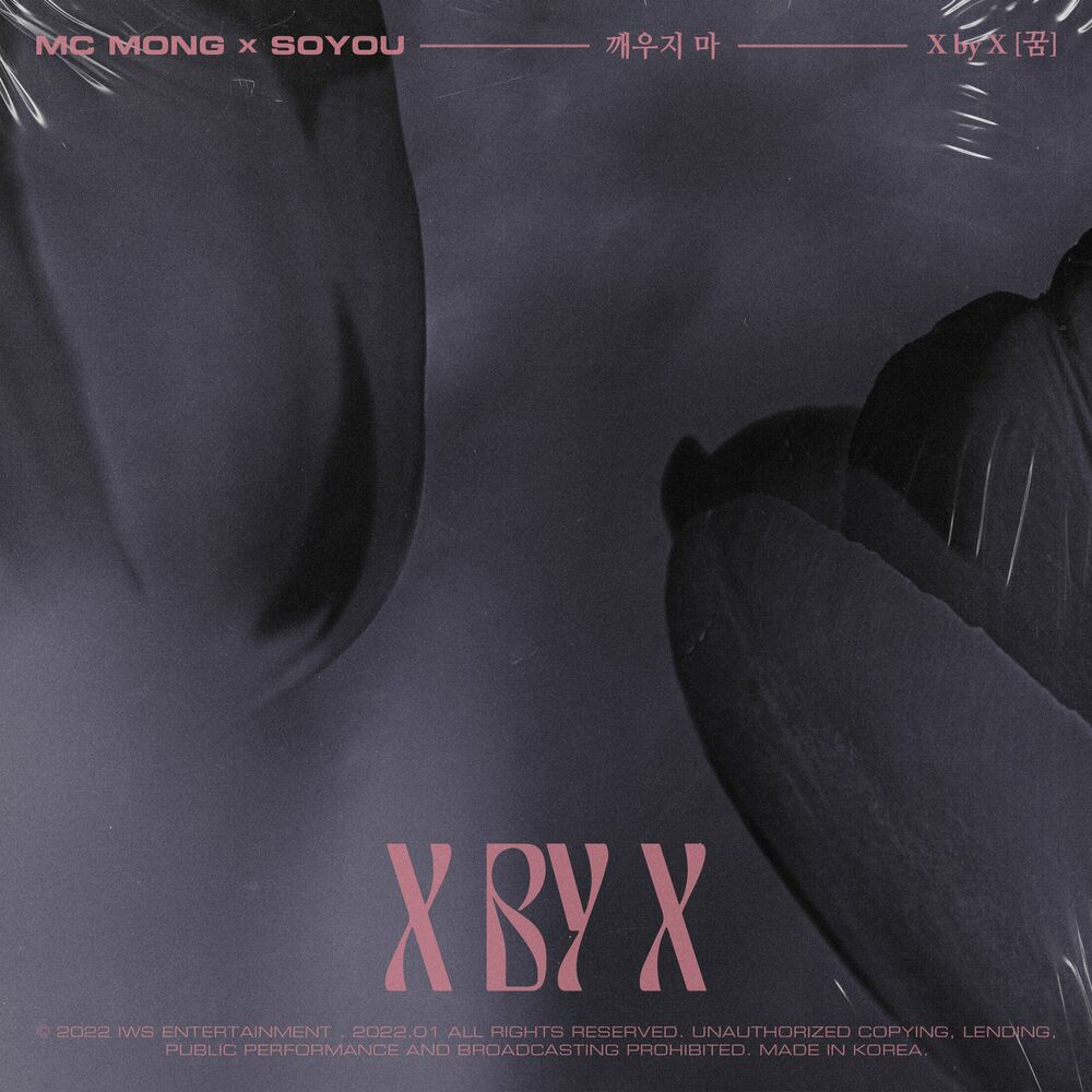 Mc Mong, SOYOU – X by X [ Dream ] – Single