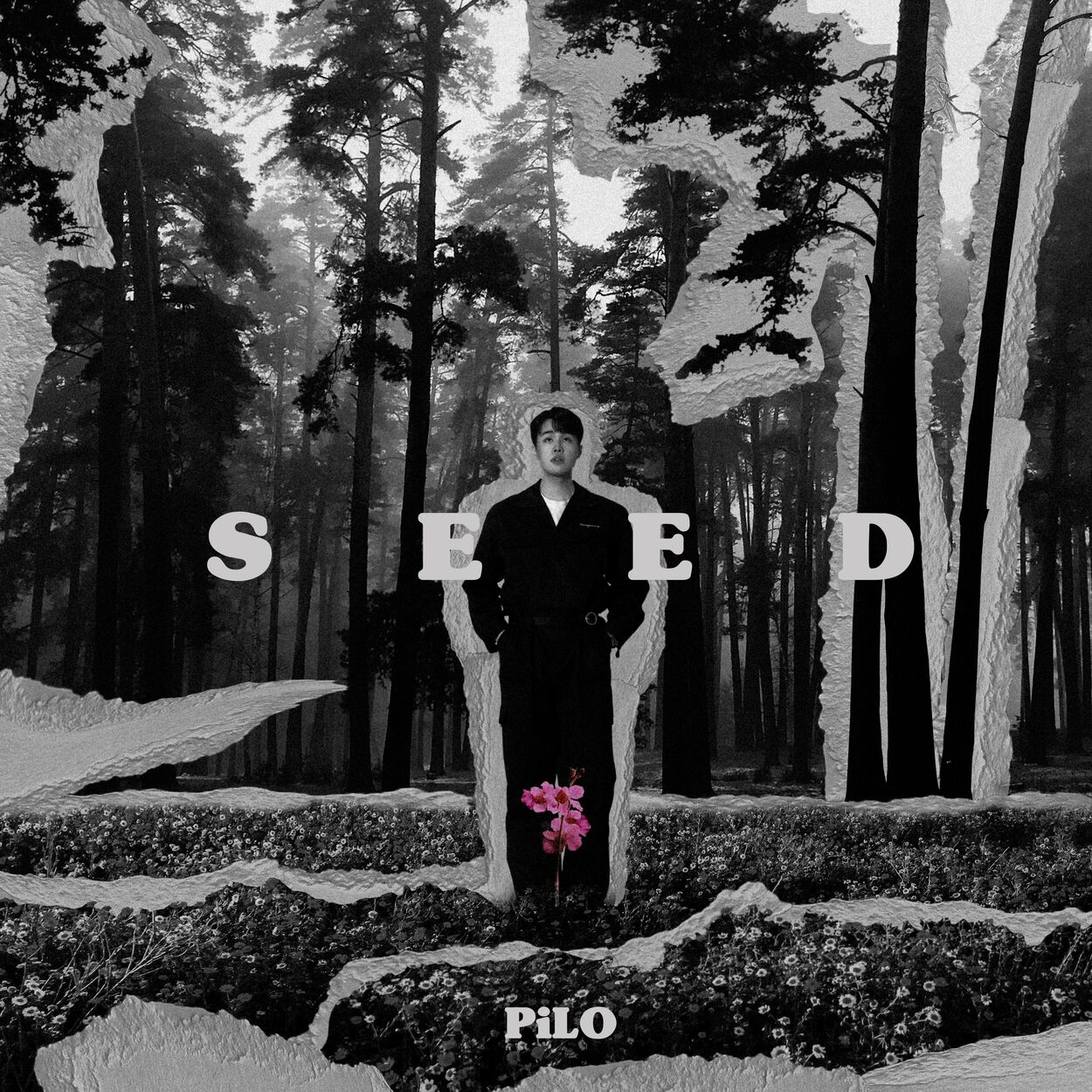 PiLO – SEED