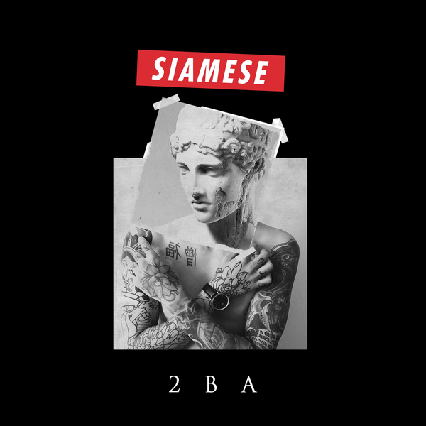 Siamese - Animals [single] (2018)