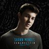 SHAWN MENDES FEAT. CAMILA CABELLO - SENORITA