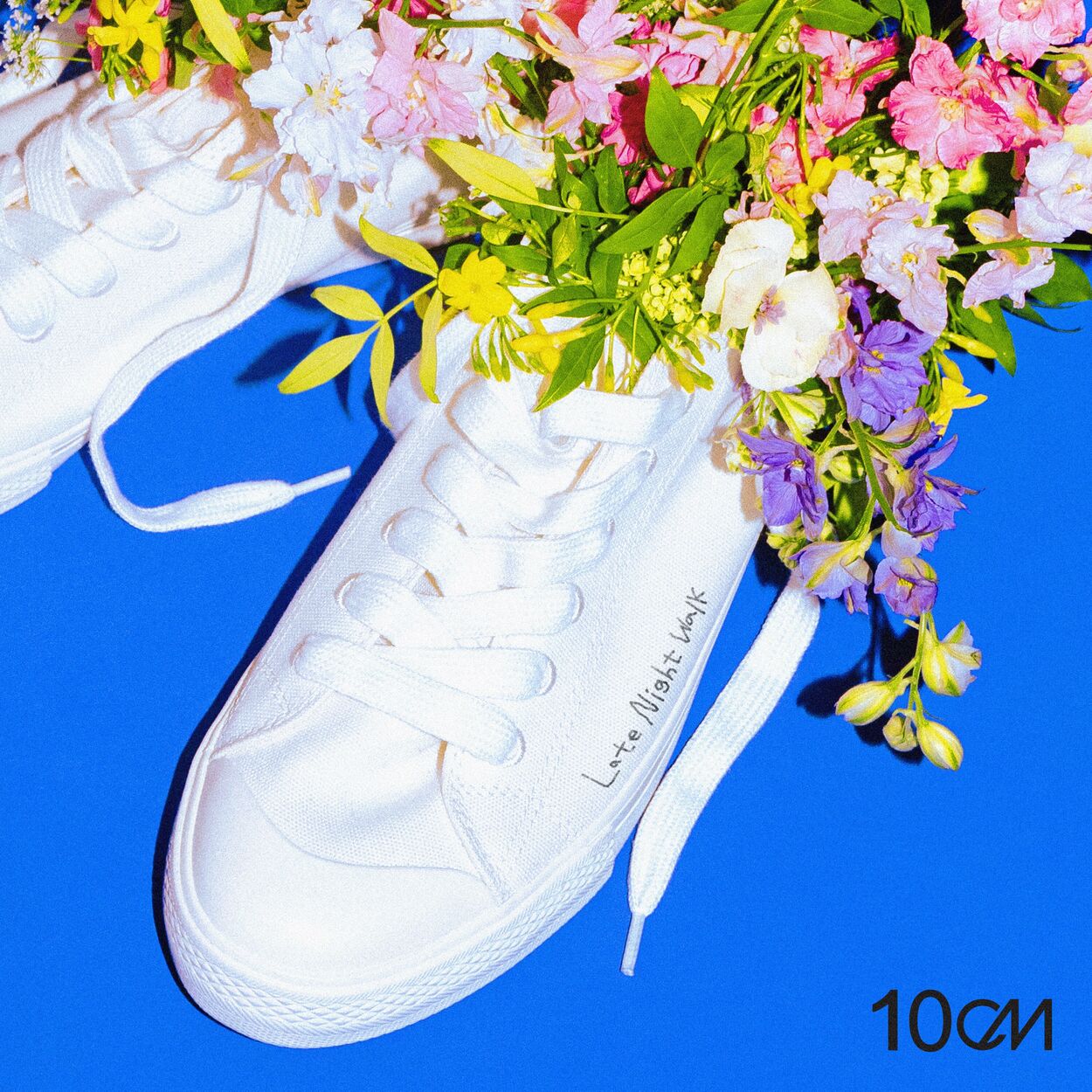 10cm – 5.6 [Late Night Walk] – Single