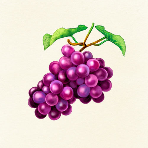 The Bowls – Knock – Single