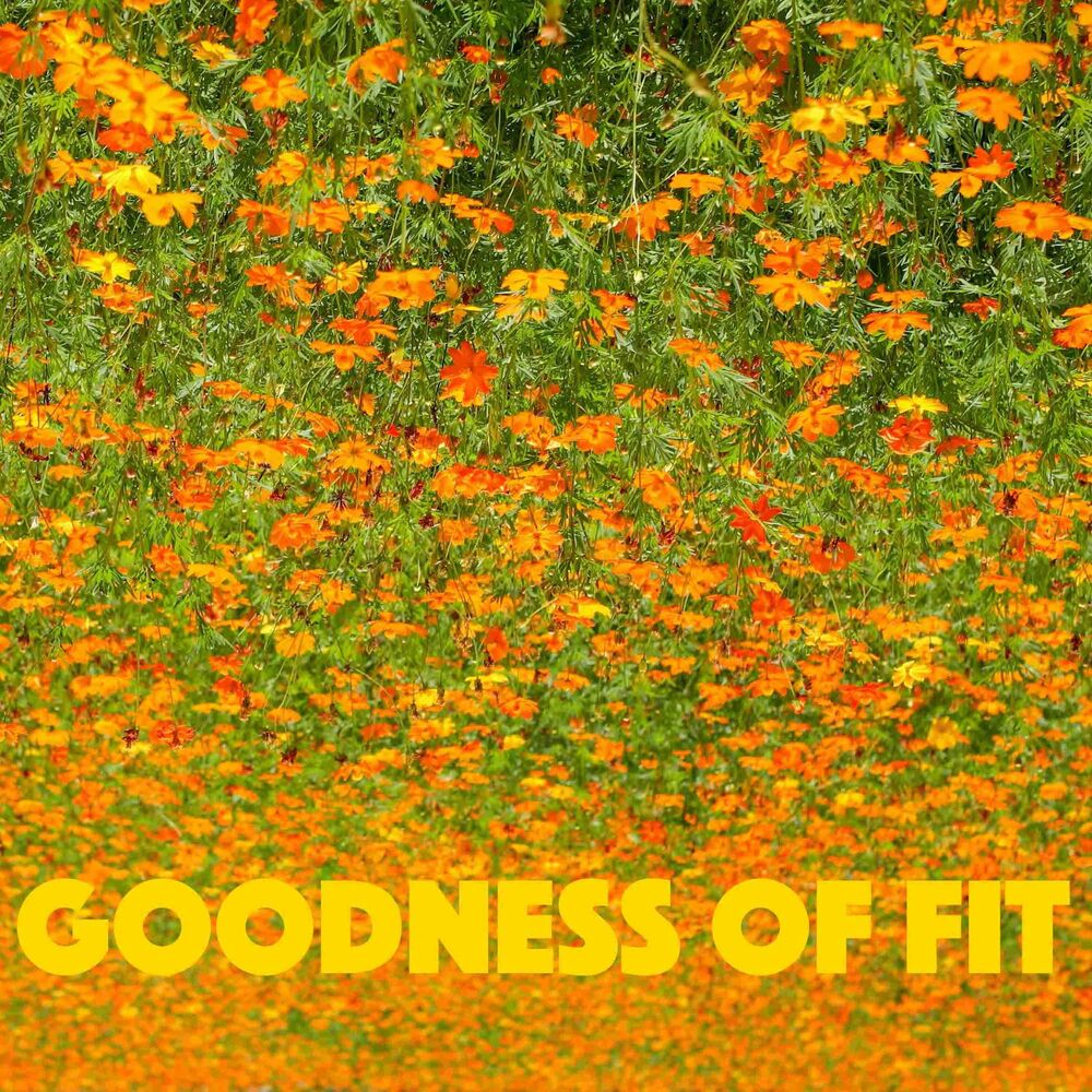 Samme – GOODNESS OF FIT