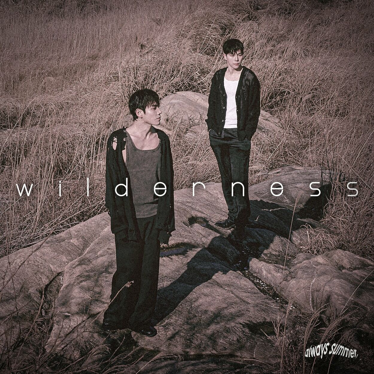 Always Summer – wilderness