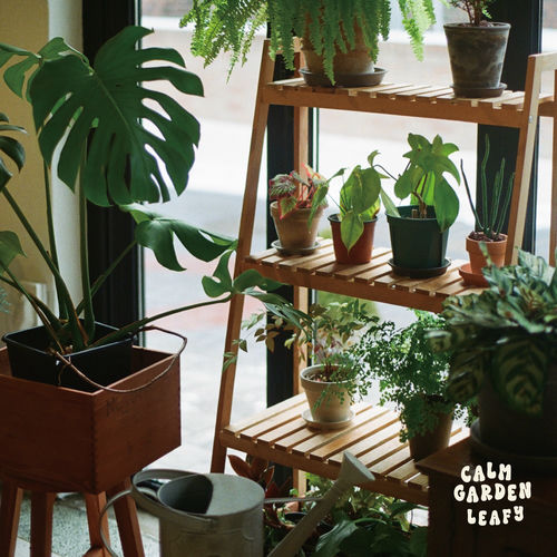 Leafy – Calm Garden – Single