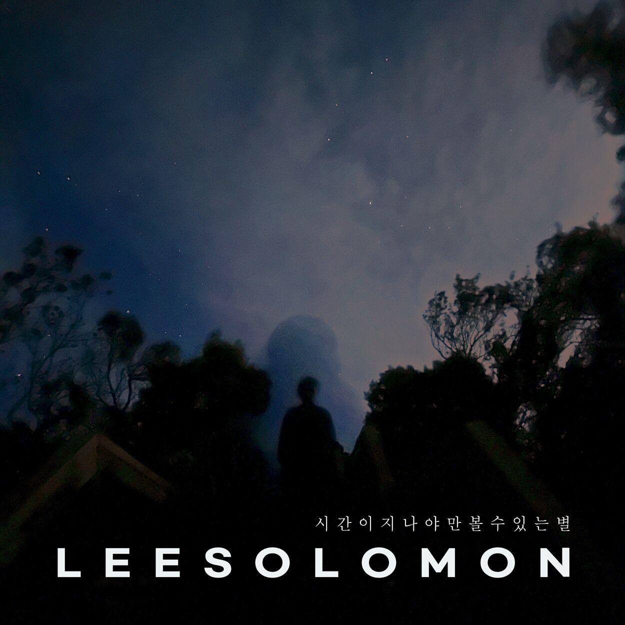 Lee Solomon – Icy dust – Single